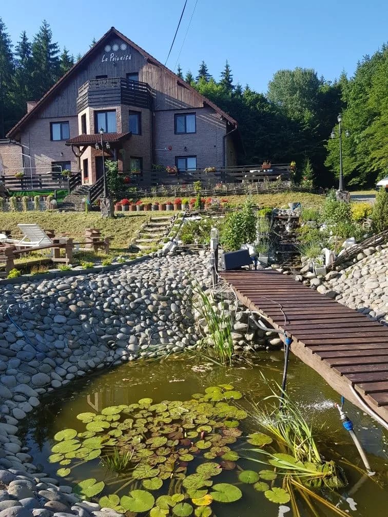 Cabana - ciubar, padure, sauna