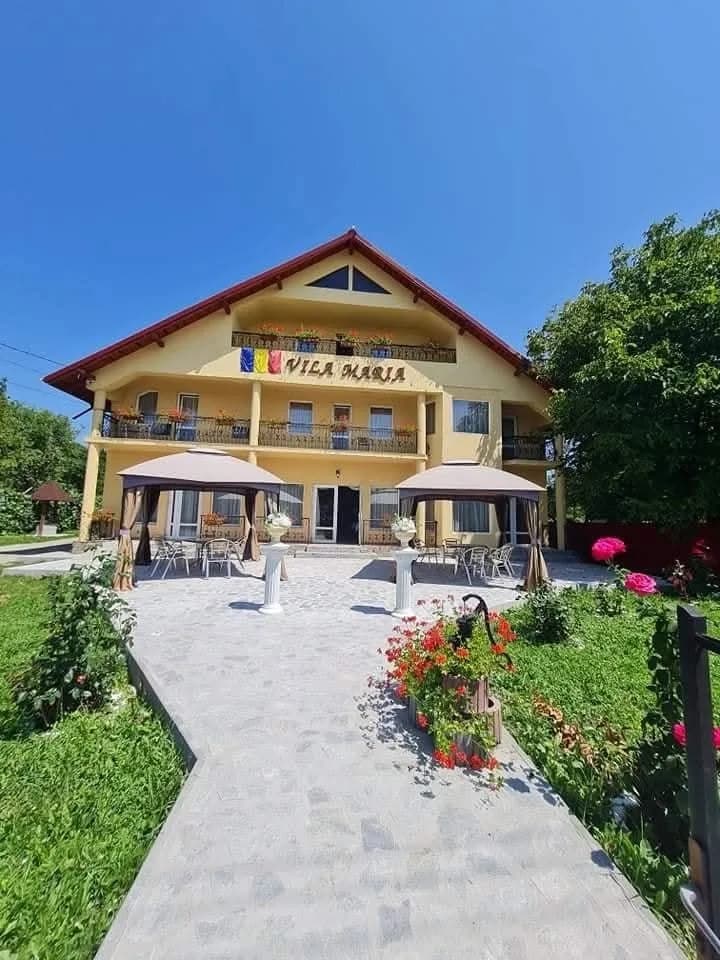Cazare Sărbători – Crăciun & Revelion — Negresti, Neamț