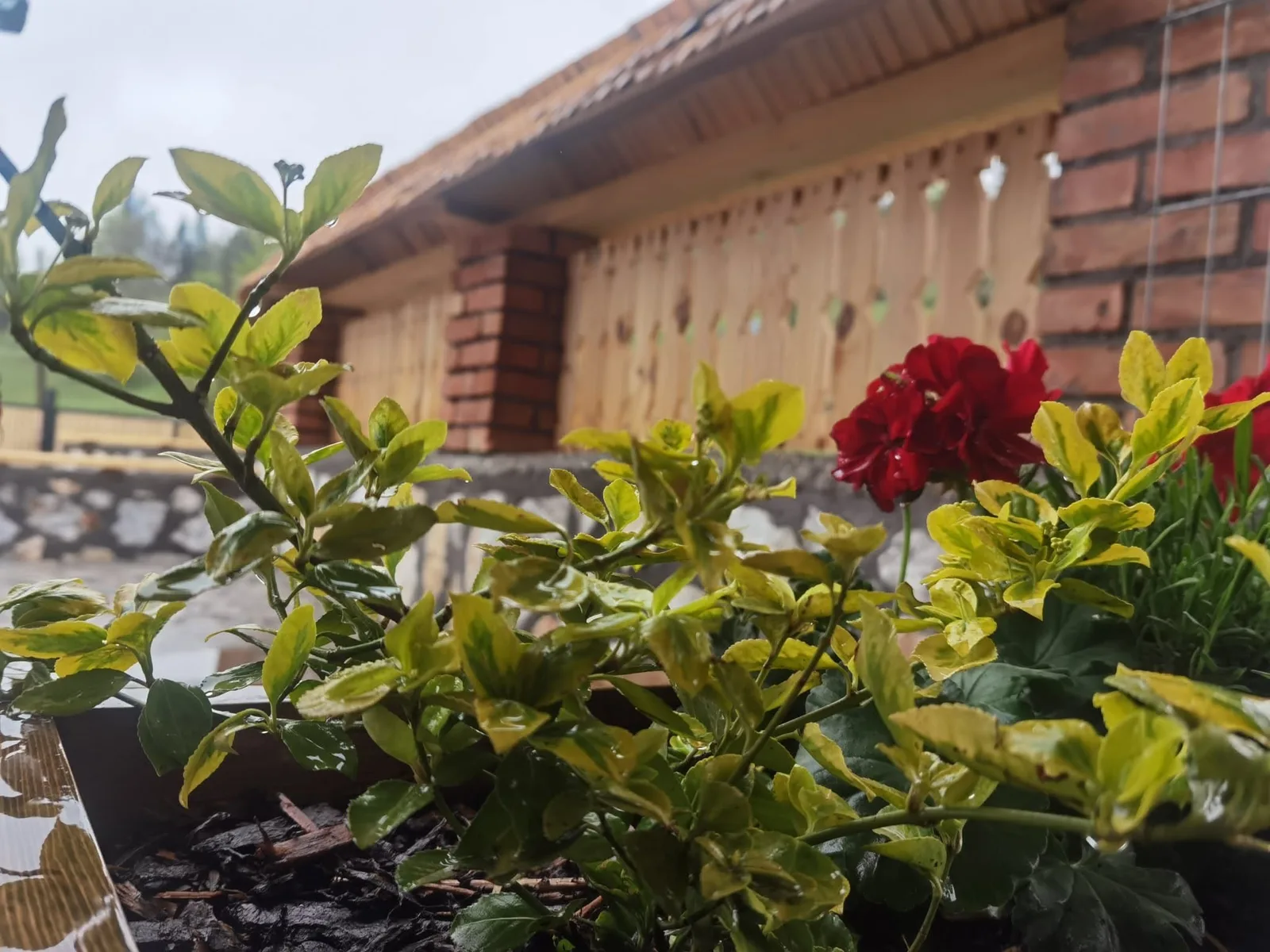 Cabană cu ciubăr în Gârda de Sus