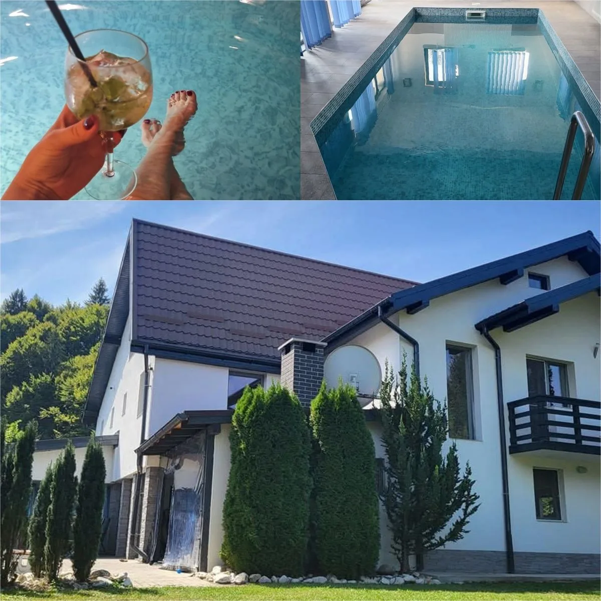 Vilă cu piscină interioară în Porumbacu de Sus