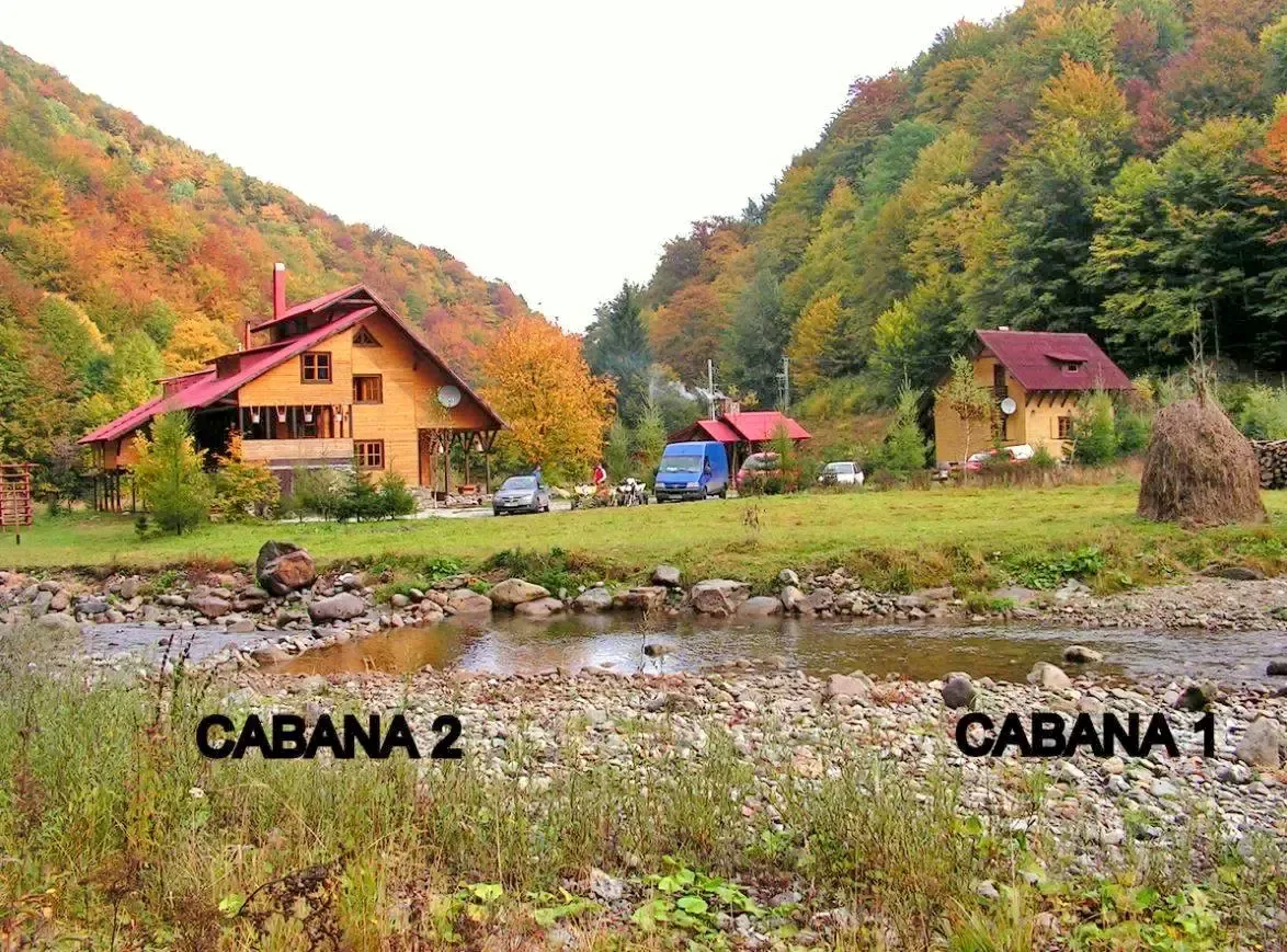 Pensiune în Stâna de Vale