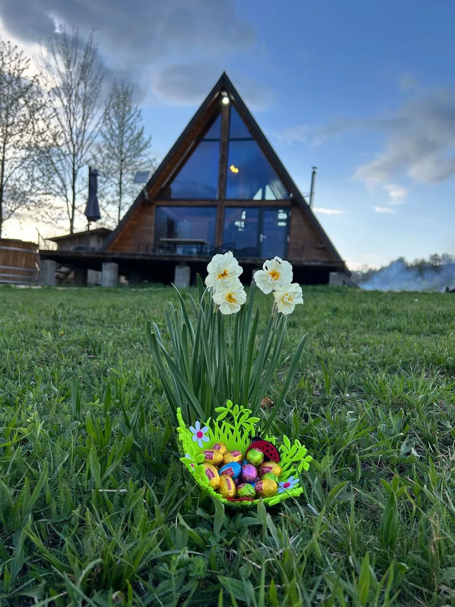 Cabană cu ciubăr în Sinca Noua