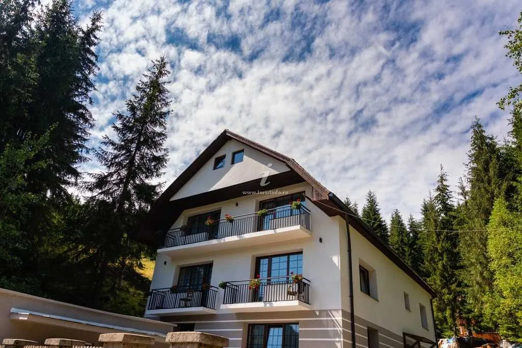 Vilă cu ciubăr în Poiana Horea