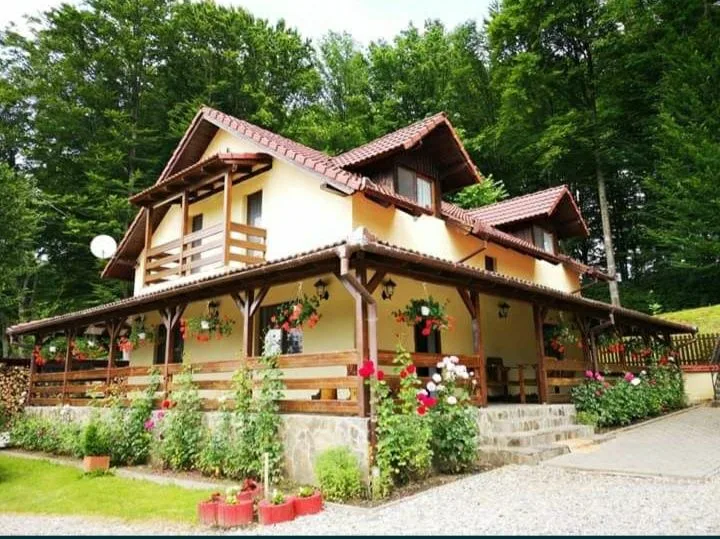 Casă de vacanță cu ciubăr în Porumbacu de Sus