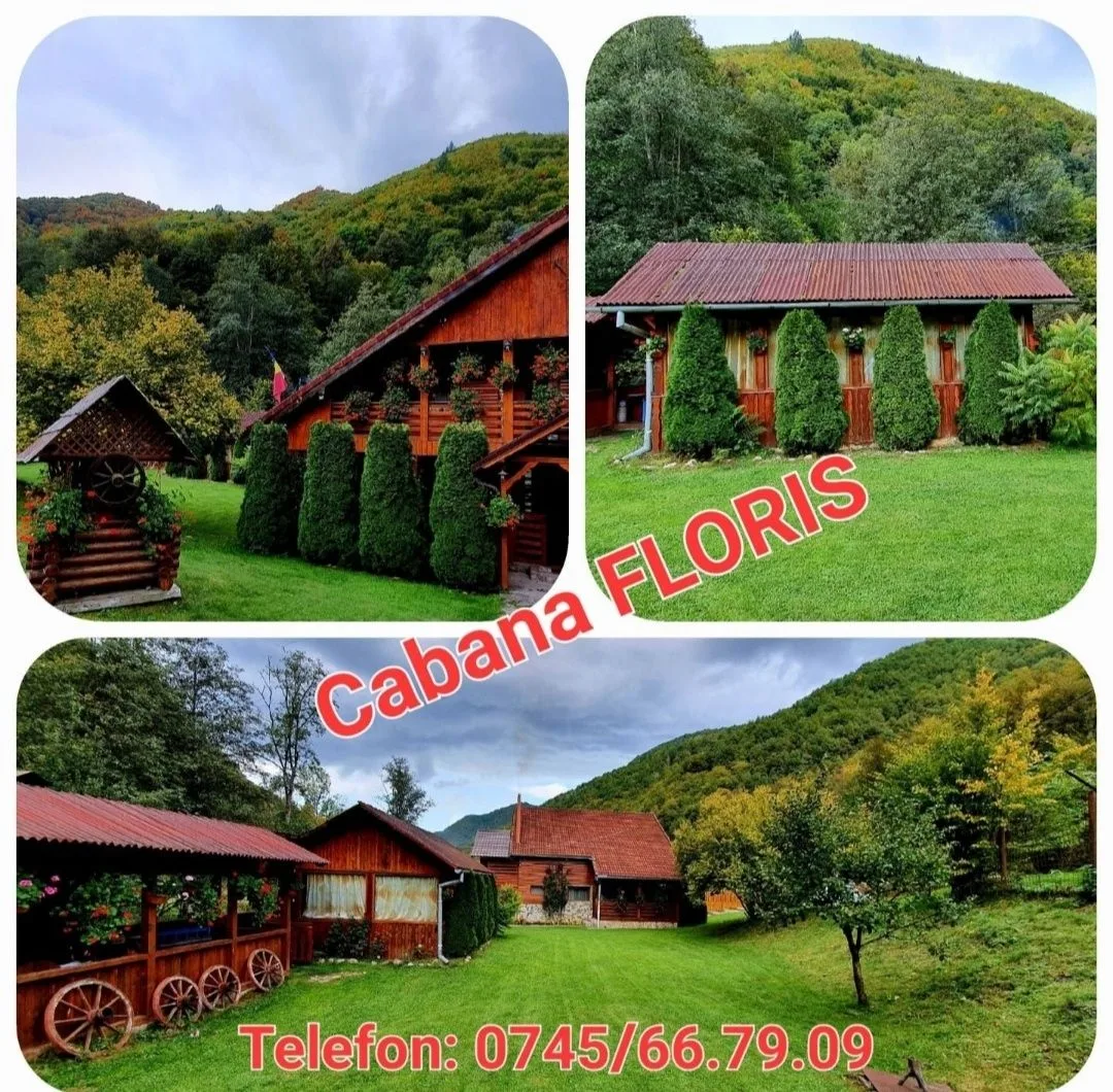 Cabană cu jacuzzi în Dobra
